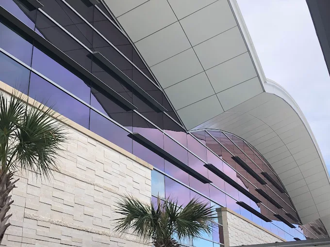 Curtain wall glass facade with palms and solar heat rejection film